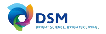 dsm.png